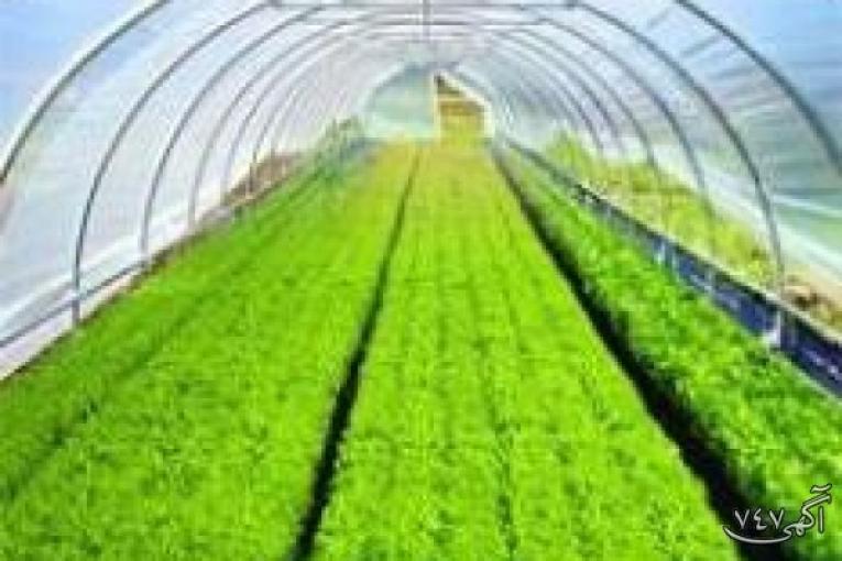 تولید کننده نایلون گلخانه و کشاورزی