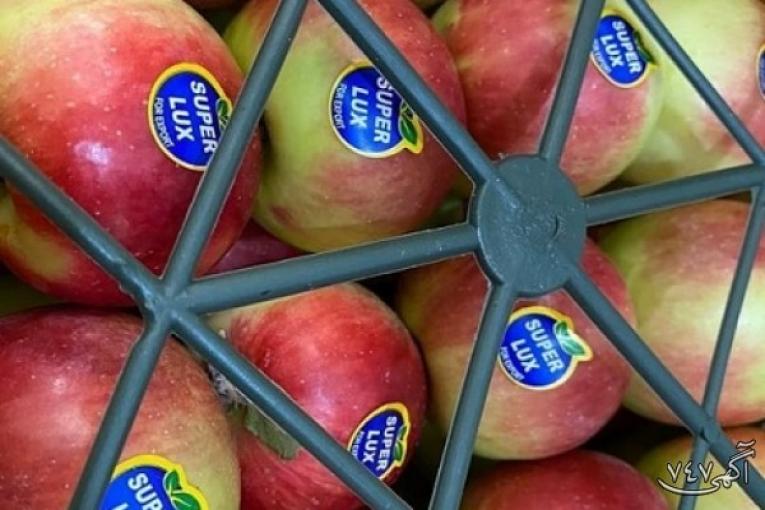 قیمت چاپ لیبل میوه انگشتی سیب