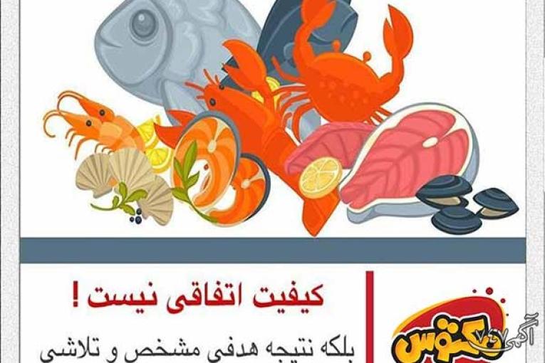 خرید انلاین گوشت در مشهد 