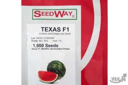فروش بذر هندوانه تگزاس 
