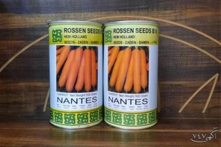فروش هویج نانتس