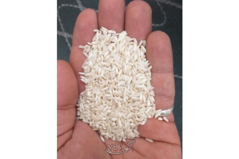 برنج ایرانی 