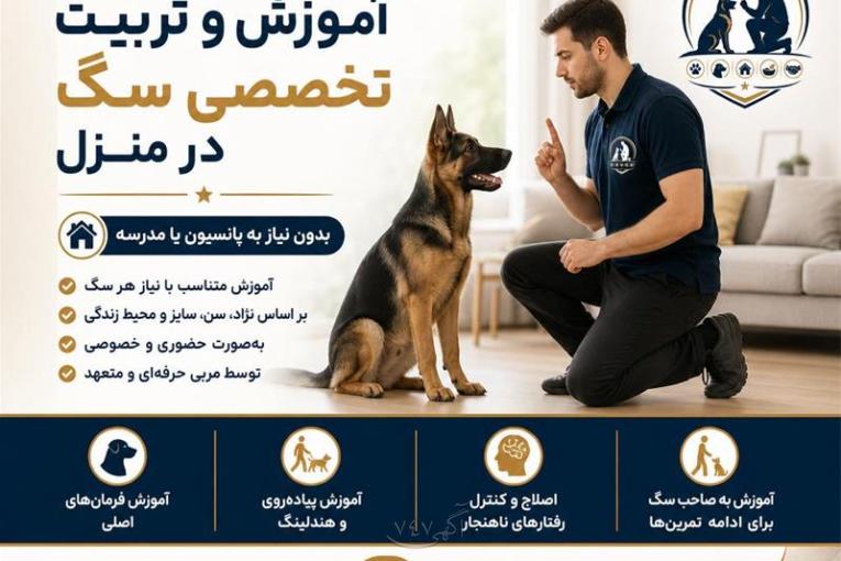 مربی سگ در ساری / آموزش و تربیت سگ در ساری