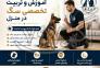 مربی سگ در ساری / آموزش و تربیت سگ در ساری>