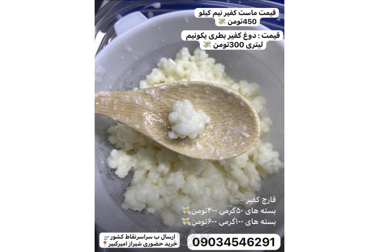 فروش قارچ کفیر